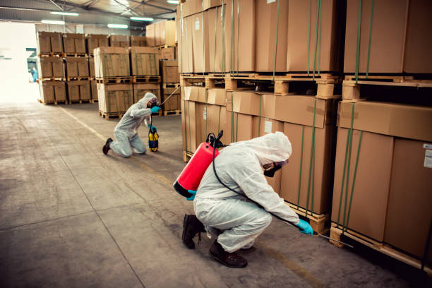 Best Pest Control Near Me in Woodcreek, TX
