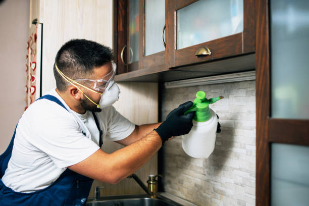 Best Pest Removal Services  in Woodcreek, TX