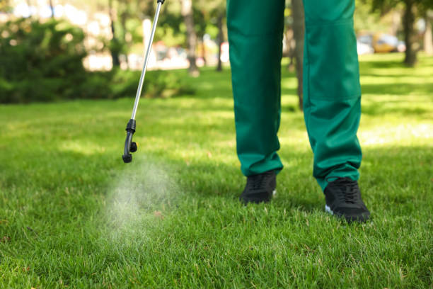 Best Commercial Pest Control Services  in Woodcreek, TX