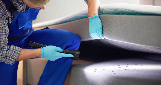 Best Pest Prevention Services  in Woodcreek, TX