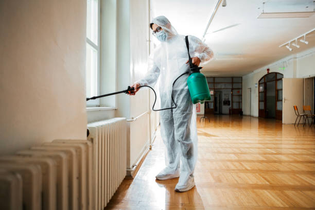 Best Pest Control for Homes  in Woodcreek, TX
