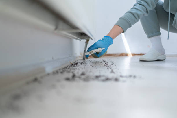 Best Emergency Pest Control  in Woodcreek, TX