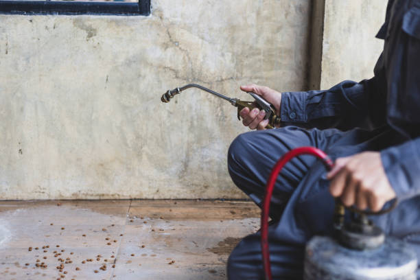 Best Pest Inspection Near Me  in Woodcreek, TX